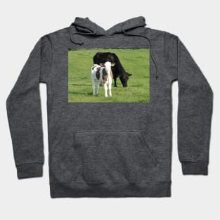 Moover and Milkshaker Hoodie